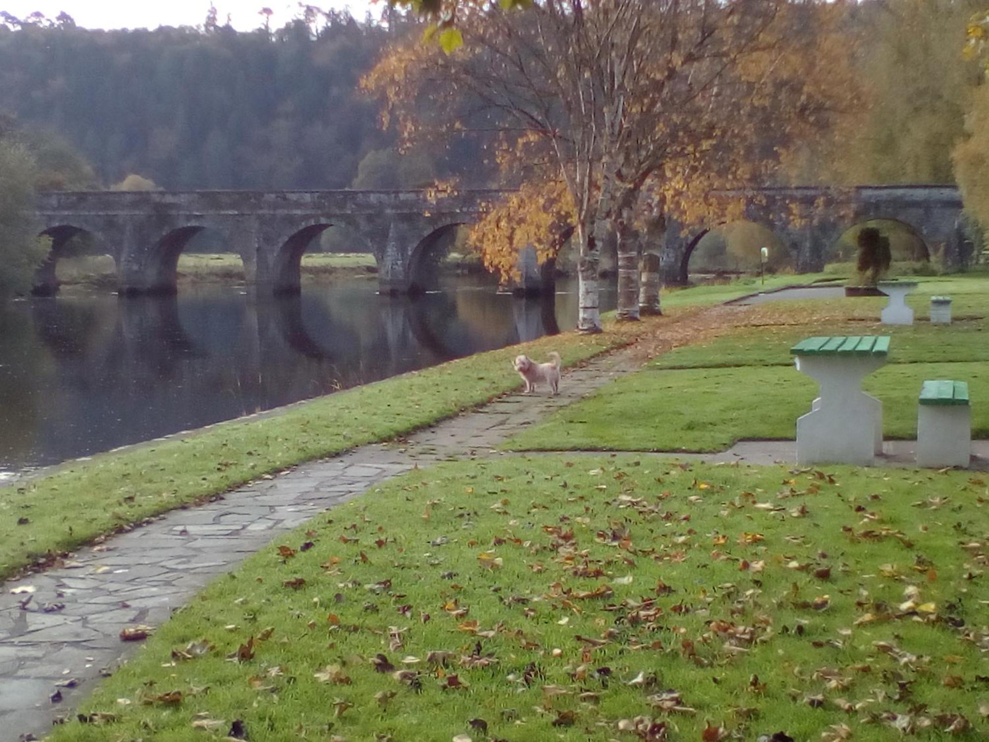 Bed and Breakfast Woodstock Arms Inistioge Екстер'єр фото